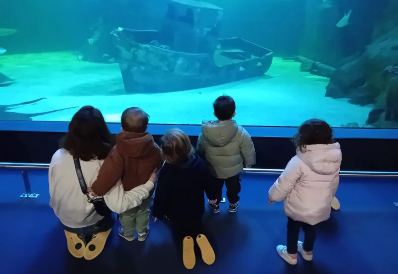 MAM_Le_Croisic_Pomd-Happy_sortie_Ocearium_1